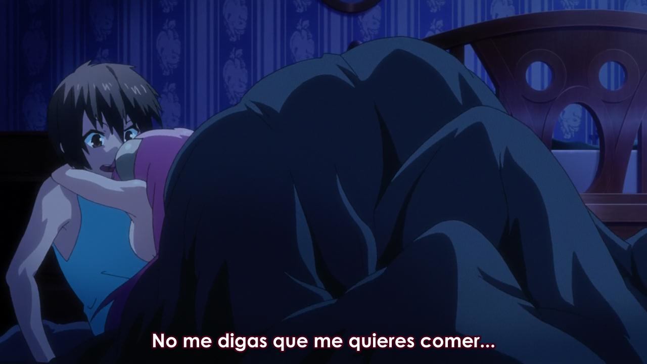 Seikoku no Dragonar (Anime Underground)